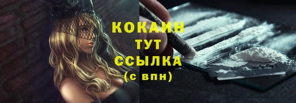 Альфа ПВП Кукмор