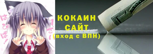 твердый Ладушкин
