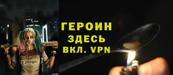 твердый Ладушкин