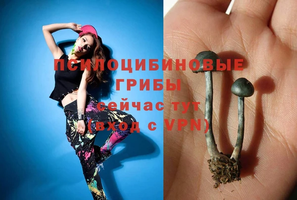 COCAINE Лабытнанги