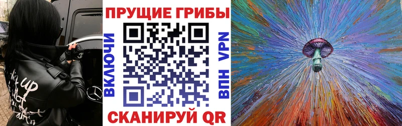 Галлюциногенные грибы ЛСД Лодейное Поле
