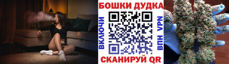 Каннабис планчик Лодейное Поле